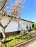 Hauptbild Charmanter Winkelbungalow mit Stil, Gartenidylle und viel Lebensqualit�t in Hofheim-Wallau