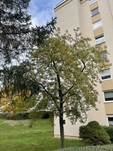 Au�enansicht Top Rendite! Ideal geschnittene 2-Zimmer Wohnung im Herzen von Taunusstein