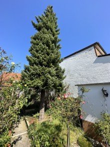 Garten  Sanierungsobjekt Doppelhaush�lfte mit Garten | Fantastischer Mainblick. 