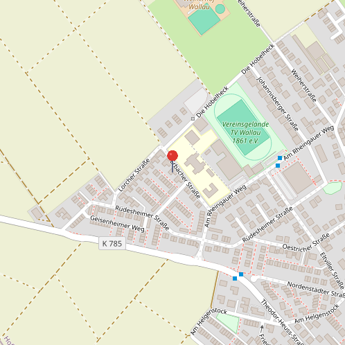 Mikro-Standort Einfamilienhaus Hofheim am Taunus