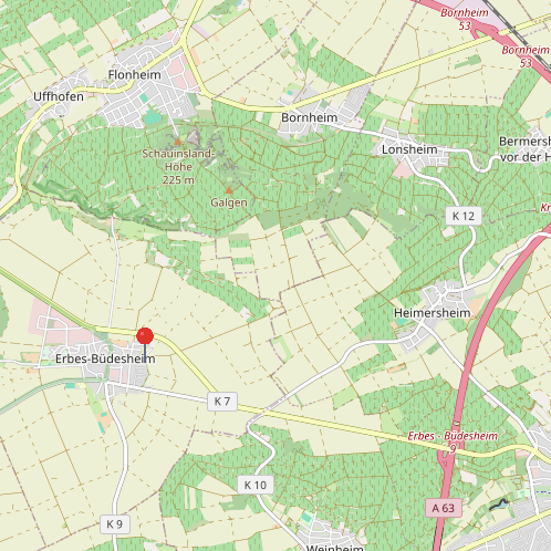 Makro-Standort Zweifamilienhaus Erbes-B�desheim